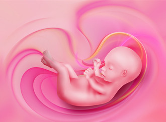 ̥��ֹͣ�l��߀�оȆ᣿̥��ֹͣ�l����ô�k