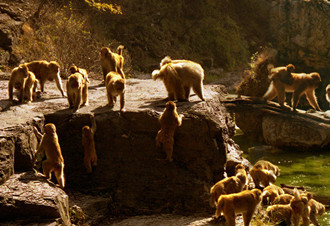 �ЋD����ȥ����@�᣿�������gȥ����@�����ע��ʲô