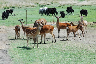 �ЋD��ȥҰ������@�᣿����Ů��ȥҰ������@�Æ�