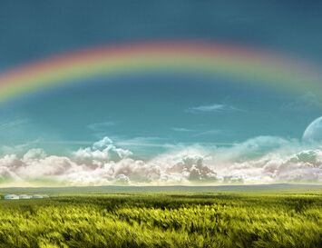 �ЋD��Ҋ�ʺ��Ǻ��᣿���Љ����ʺ���ʲô���x