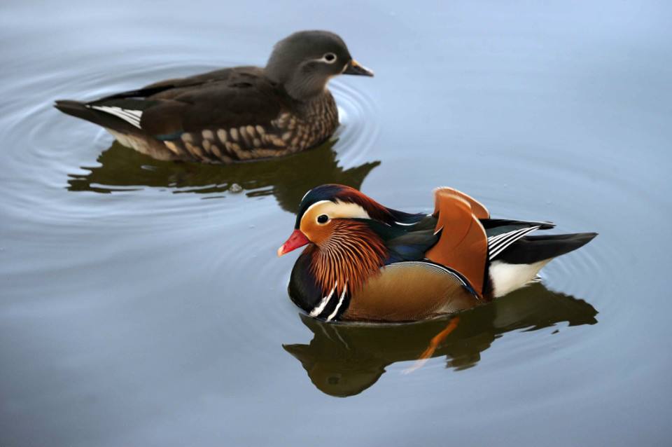 �ЋD��Ҋ�x���Aʾ��ʲô�����Љ�Ҋ�x���ò���