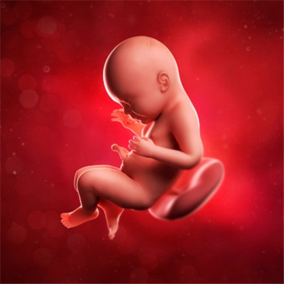 ���ж���������������������30�������������