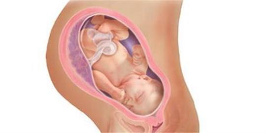 ���НM37�ܺ�40�����ĺ��Ӆ^�e��᣿����40���Ժ������Ӱ푆�