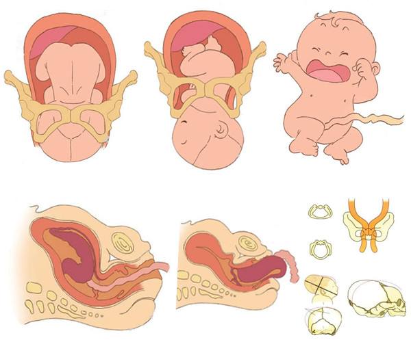 혮a(ch��n)���ÿ�������̥��혮a(ch��n)������̥����Щע�����