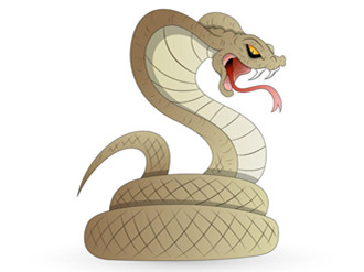 �ЋD������������ʲô�A(y��)�׆᣿�ЋD��Ҋ������ʲô��˼