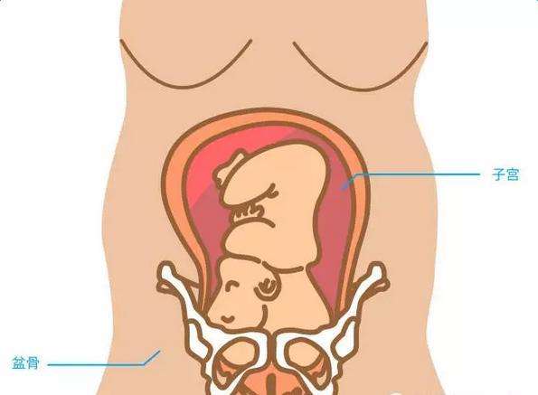 ���ڐu��������ô���£��ЋDֺ������ô�k