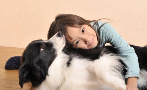 ������؈�¹���ô�k�����ӎ������ӿ˷���؈��������