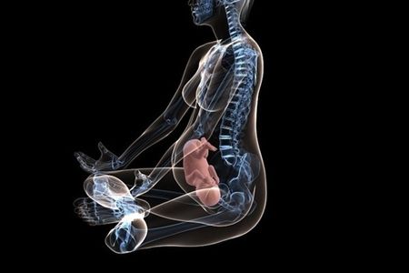 �ЋD��x���Σ�������᣿��̥����ʲôӰ�