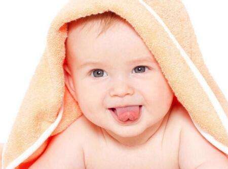 如何為狗寶寶起小名?狗寶寶取小名有什么講究?