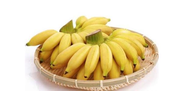 �ЋD�ܳ��׽��᣿�������g���׽���ע��ʲô