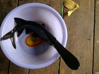 �ЋD�ܳ������~�᣿���г������~�Æ᣿