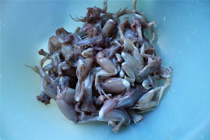 �ЋD�ܳ�������᣿�������g�����ܺò���