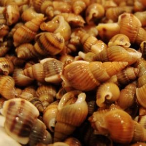 �ЋD���ˎ������x��ʳ����ô�k�������x����Ⱦ�o̥����