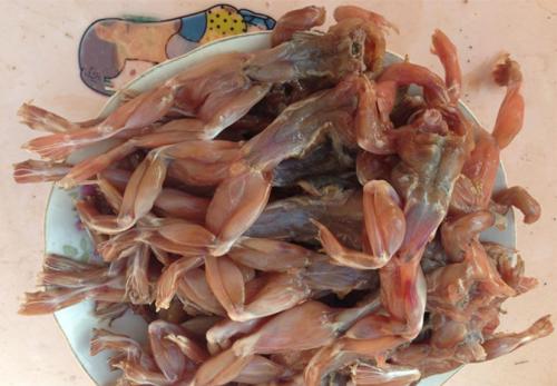 �a����Գ�������᣿�����ڳ�������Æ�