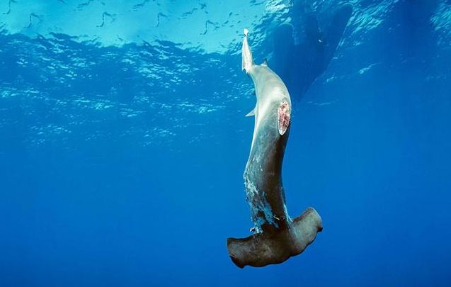 �������ܳ��~��᣿�a����~�ጦ���w�֏ͺÆ�