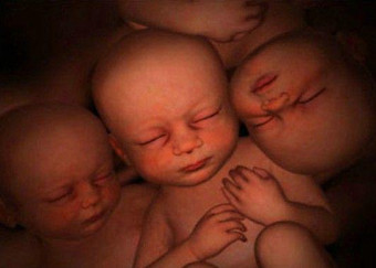 ��������9�����6��(g��)���������̥��������ӌm���������