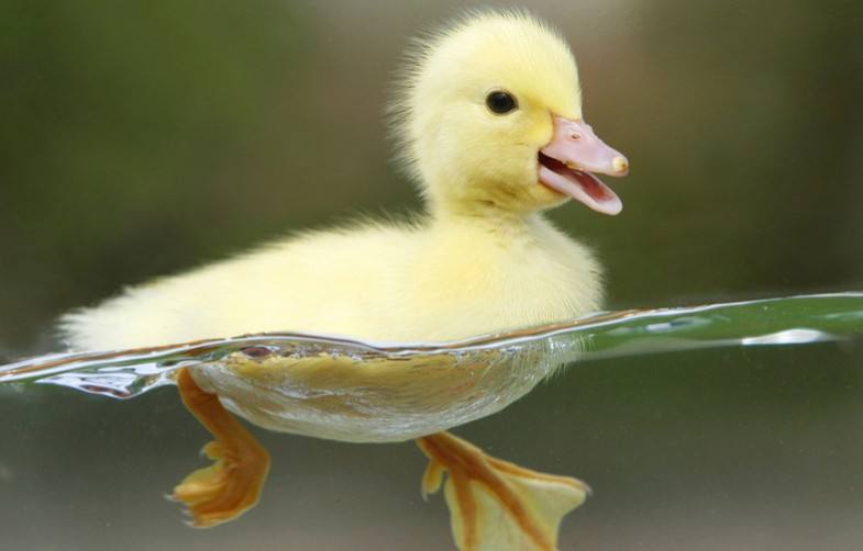 �ЋD��Ҋ���Ӵ���ʲô�����Љ�������������߀����Ů