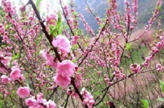 �ЋD��Ҋ�һ���ʲô���x�����Љ�Ҋ�һ��ò���