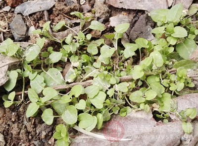 Ұ���mȻ����Ȼ�����ǌ����ЋDҲ��һ���ǰ�ȫ�ģ�