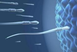 �����ӵČ��÷������������ӵ�ע�����