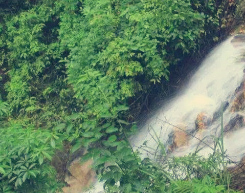 ��Щ������̥�������l(f��)������