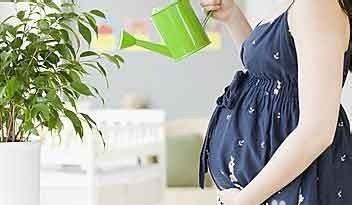 �ЋD��Δ[Ó���O��w���Ћ���[Ó���O��w��6�N����