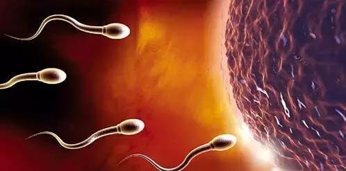 ���Ѓ��|�ľ��� ������������Ќ���Ů������