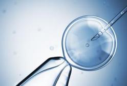 ��Щ���m����ԇ�܋냺��