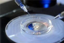 ��ԇ�܋냺��Ҫ�M����Щ�l����