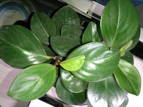 �����B���ݵČW������Щ�������B����Щ���ݲ����B