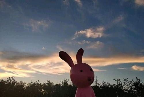 ���ӵ����N����֡��О飡��Α������ӵ������О�