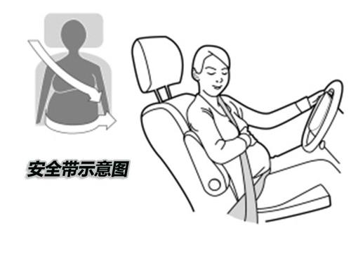 �ЋD��ôϵ��ȫ���Ų�������̥�����ЋDϵ��ȫ���ķ���