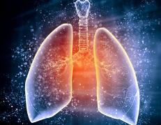 ��������A(y��)���¹ڷ��ף�?j��)�ͯ�A(y��)���¹ڷ���ע�����(xi��ng)