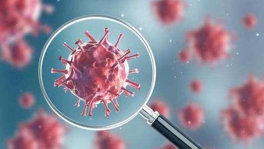 �¹ڷ����������g�ЋD�a�zҪ��Ҫȥ���a�z��ԓ��ô�k��