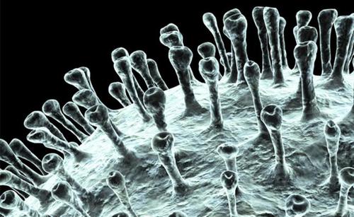 �¹��������g��ȥ�؁��·���ô�����������ڴ�ʲô�·����T��