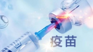 �������g4�N�����輰�r�ӷN