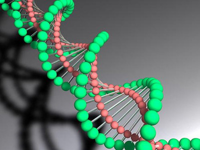 ��Щ�����ǽ^���z���ģ������������z������