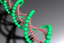 ��Щ�����ǽ^���z���ģ������������z������