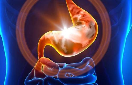 �����cθ���þ������l���e�����L��κ��o������θ