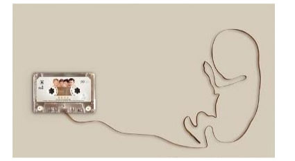 �����о��ˆT������̥�̵�һЩ����